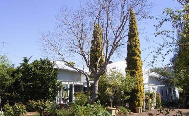 Jacaranda Guest House Бъселтън Екстериор снимка