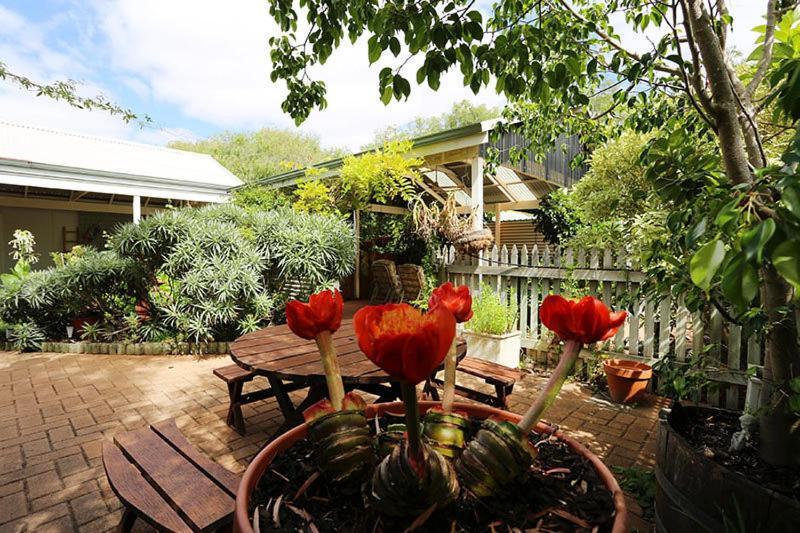 Jacaranda Guest House Бъселтън Екстериор снимка